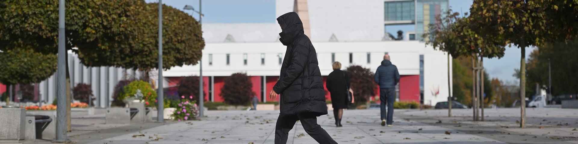 Vyriškos žieminės striukės